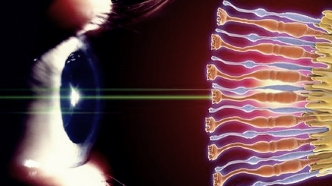 سلول های چشم چاپ شدند!