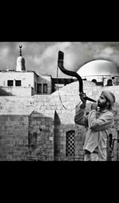 اصطلاح بوق سگ 