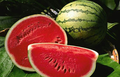 نحوه نگهداری هندوانه