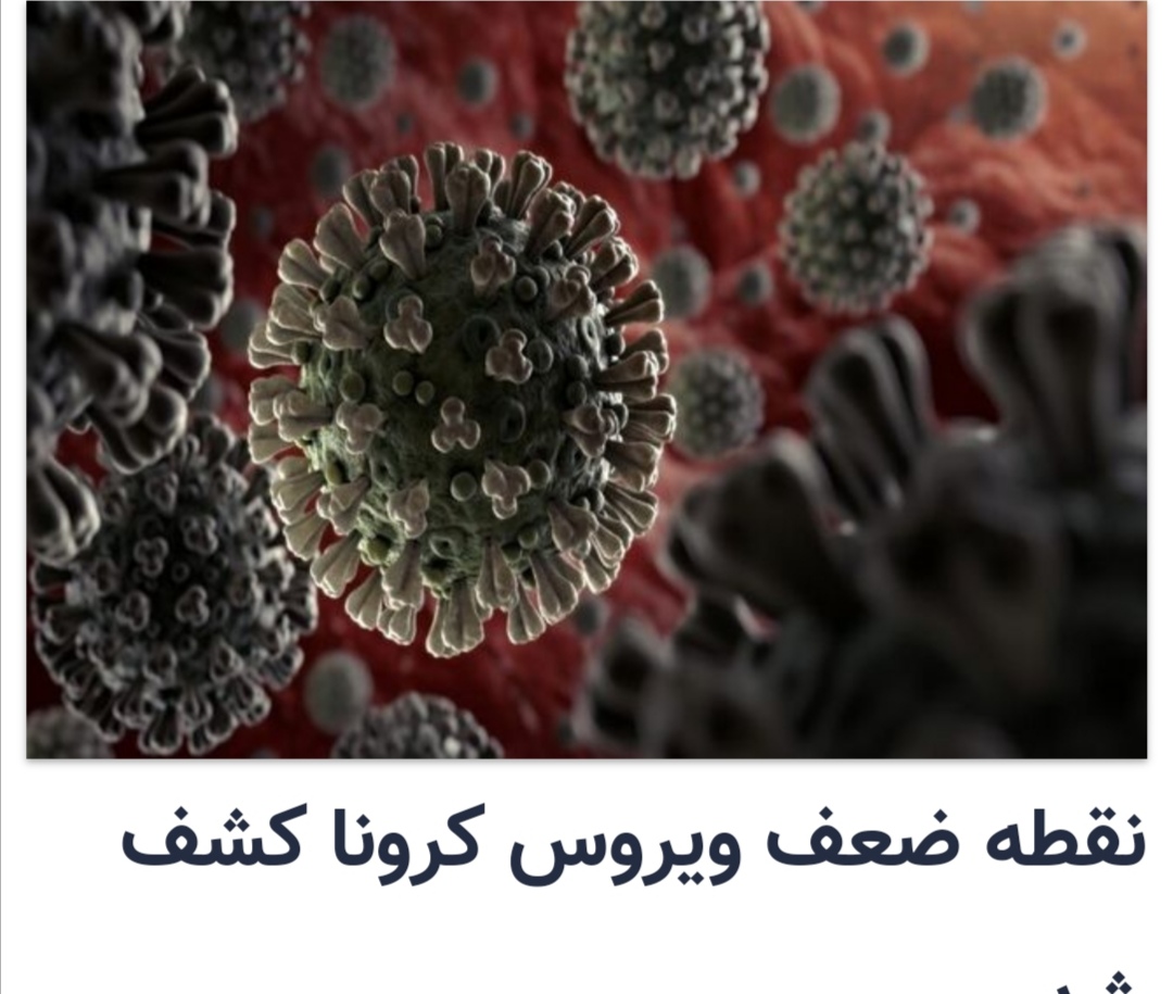 نقاط ضعف ویروس کرونا