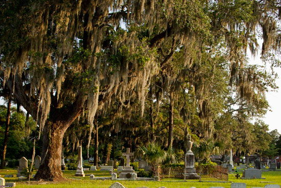 قبرستان بوناونتوره ساوانا، گرجستان