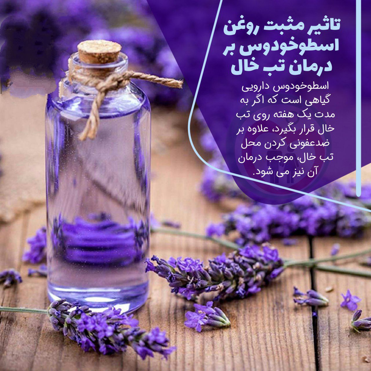 روغن اسطوخودوس برای درمان