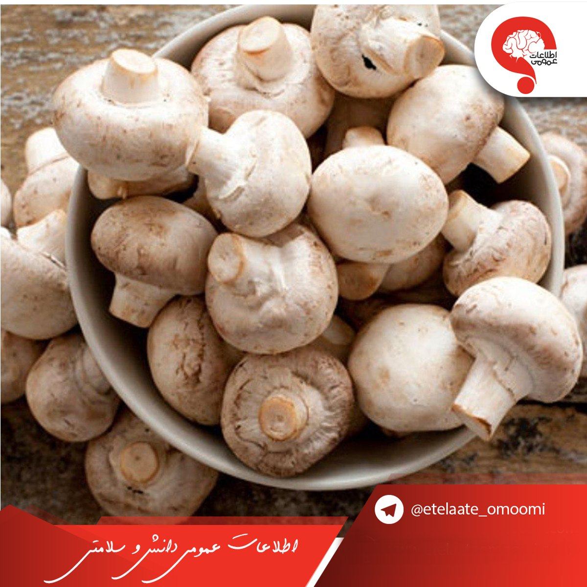 مصرف قارچ