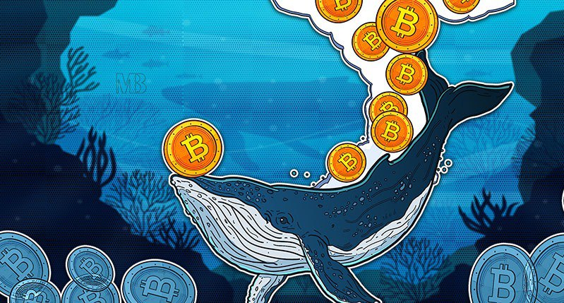 فعالیت گروهی نهنگ‌های بیت‌کوین