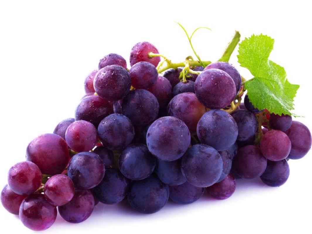 انگورهای بنفش و قرمز بخورید