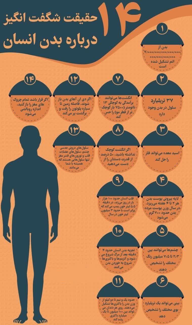 14 حقیقت شگفت انگیز درباره بدن انسان