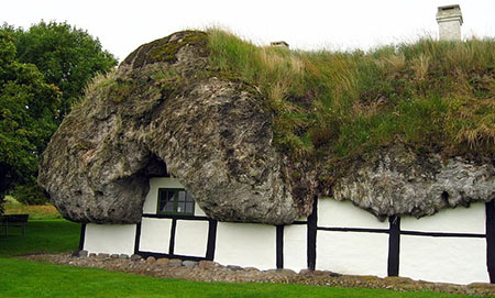 خانه هایی جالب با سقفی از جلبک