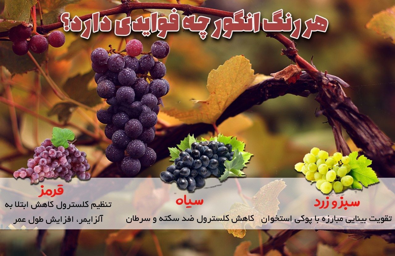هر رنگ انگور چه فوایدی دارد؟