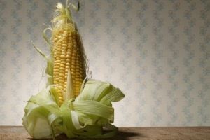 خواص خوراکی و دارویی ذرت