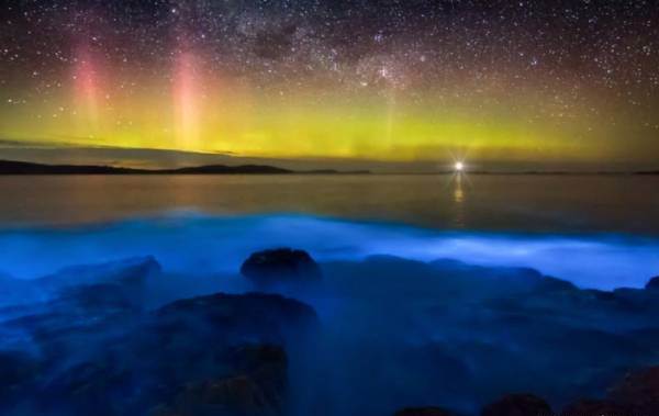 آب های بیولومینسانسی در تاسمانی