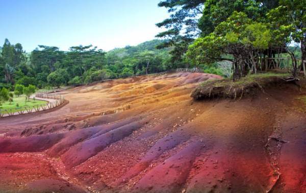 زمین هایی هفت رنگ در چامارل ، موریتیوس