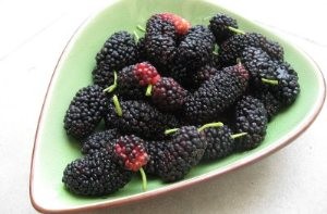 میوه ای با قوی ترین خاصیت آنتی اکسیدانی