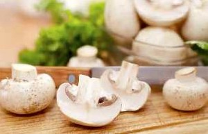 قارچ را می توان جایگزین گوشت کرد