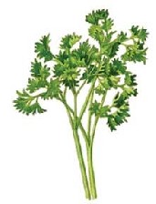 بهترین و طبیعی ترین تمیز کننده کلیه