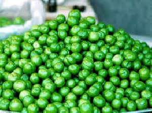 خواص درمانی گوجه سبز