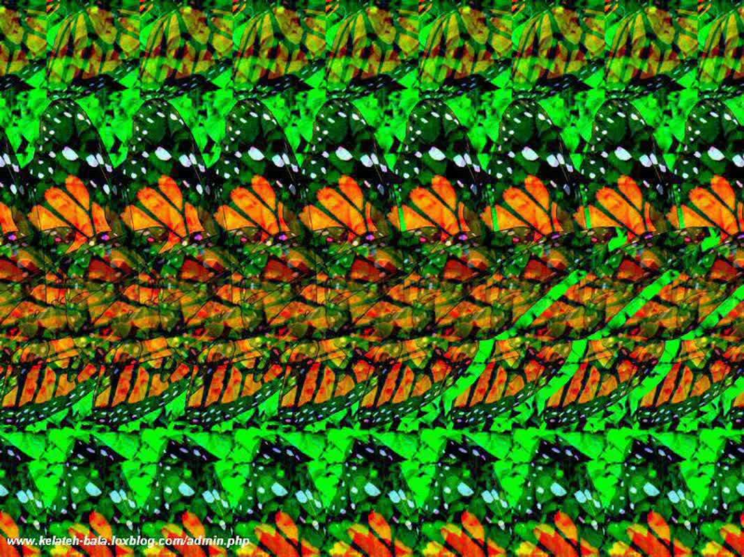 تصوير و تمرکز