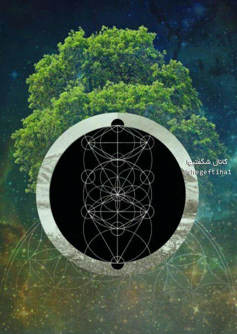 قوانین فیزیک و سفر در زمان