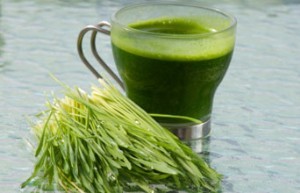 خواص کلروفیل یا سبزینه