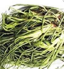 خواص دارویی گیاه شنگ!