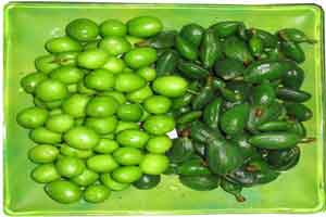 تمامی خواص و مضرات آلو و چغاله بادام