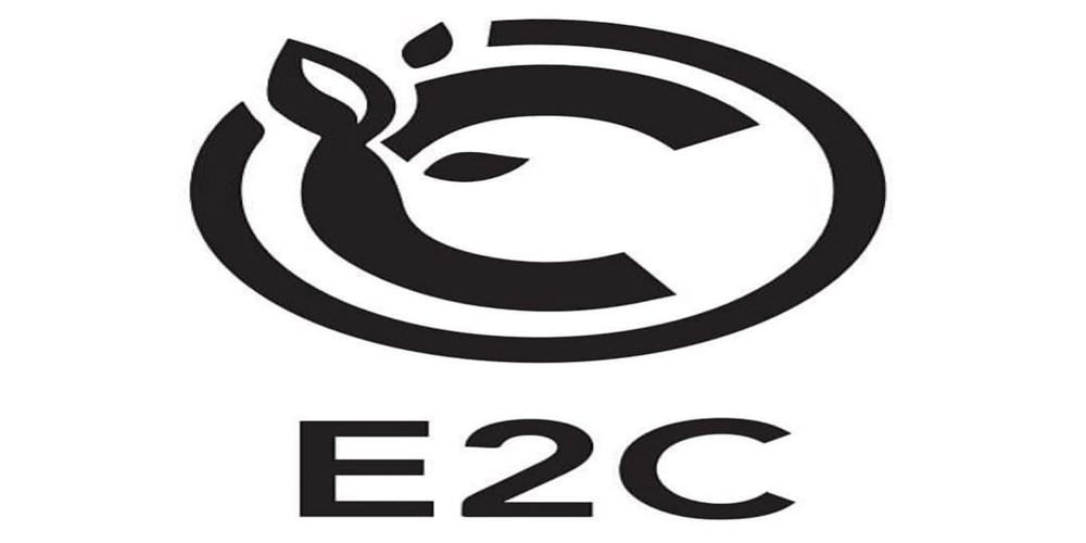 بررسی ارز دیجیتال E2C
