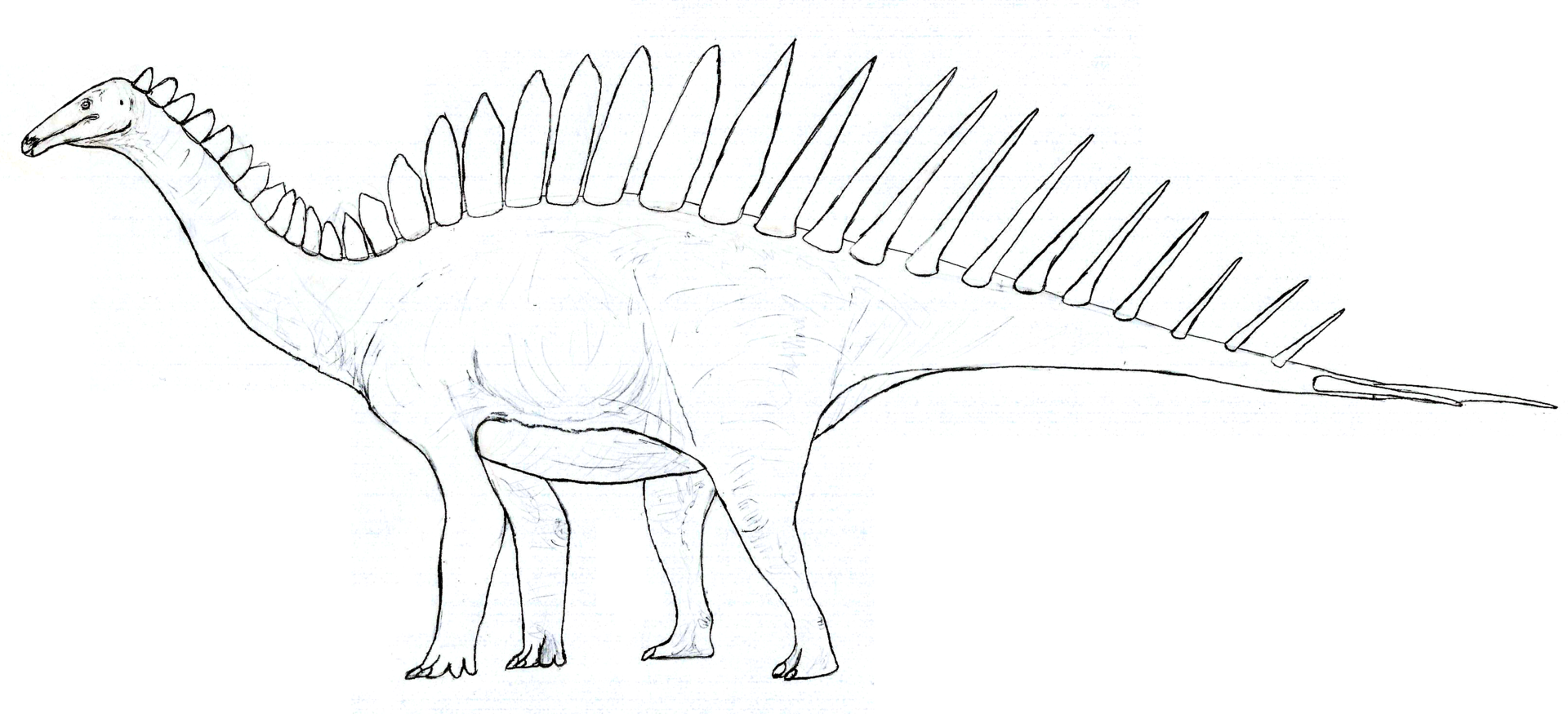آدراتیکلیت