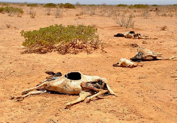 ساحل، مکانی خطرناک در شمال آفریقا