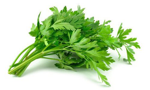 ۱۰ فایده جعفری برای سلامتی