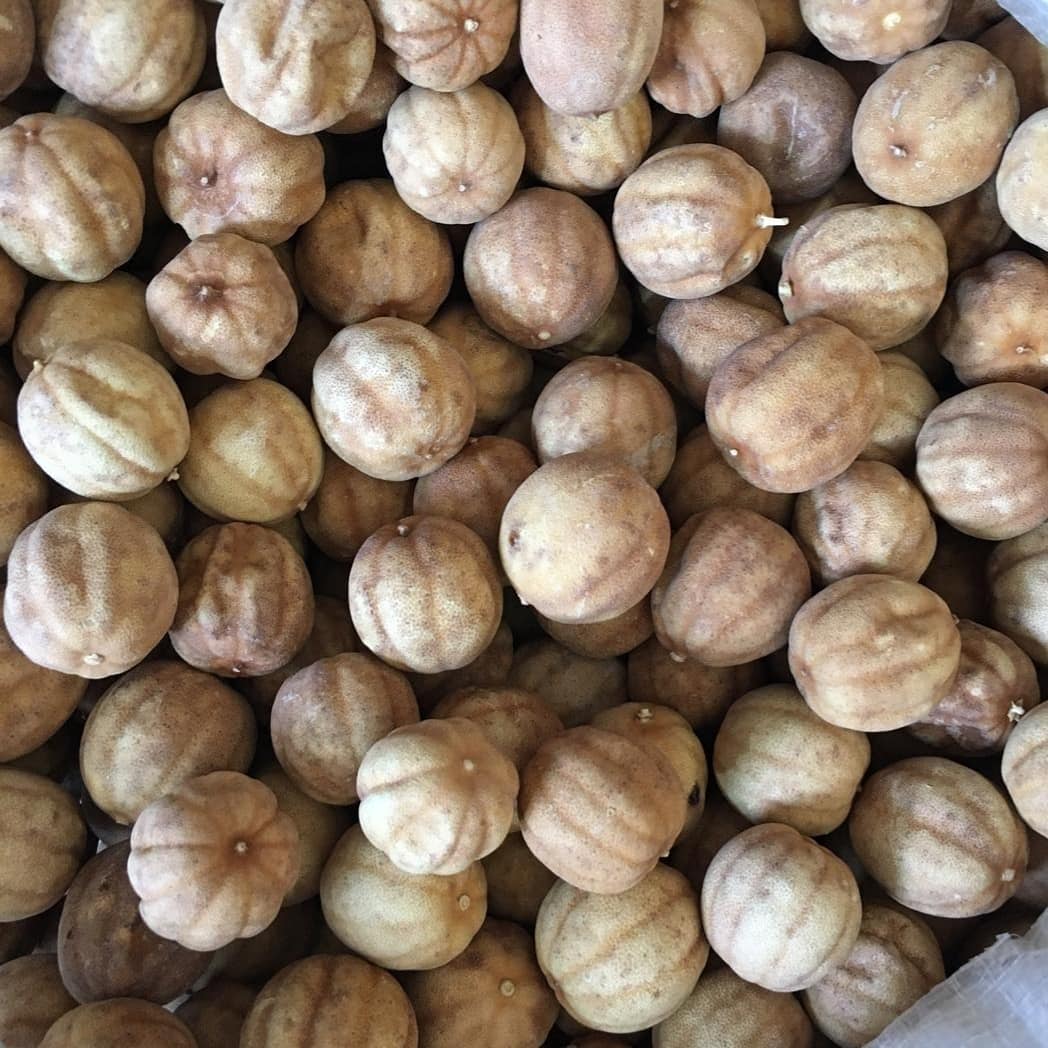 طرز تهیه لیمو عمانی خانگی