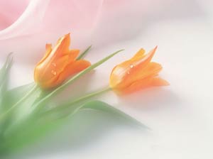 تظاهرات روانی بیماران روده تحریک پذیر(IBS)