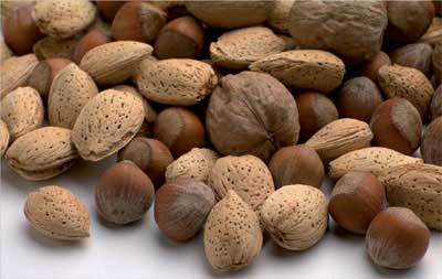 ویتامین B۱ یا تیامین