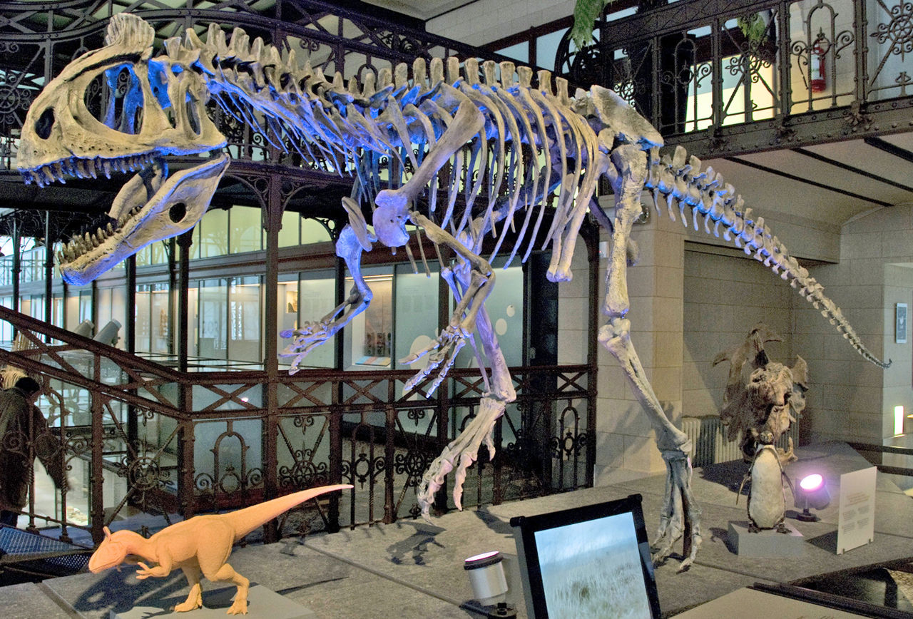 یخ‌تاج‌خزنده‌ها