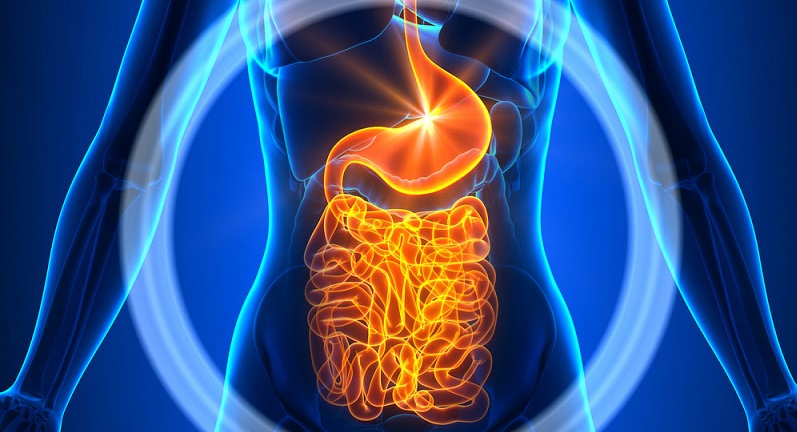 ۵ روش خانگی برای هضم سریع غذا