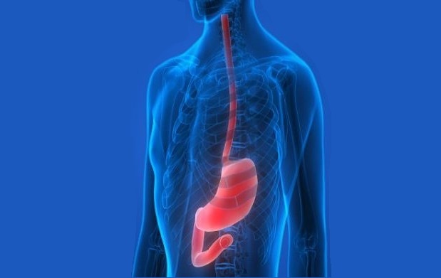 ۷ نکته درباره واریس مری