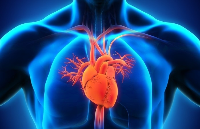 ۱۳ نکته که به قلب شما آسیب می رسانند