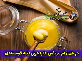درمان تمام بیماری ها با چربی دنبه گوسفندی