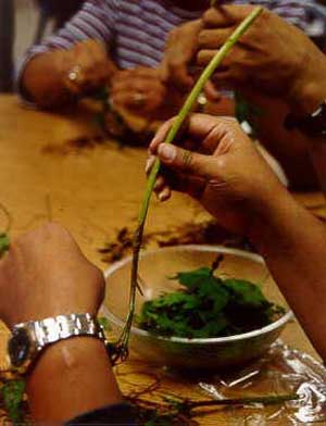 قرن بازگشت به استفاده از داروهای گیاهی