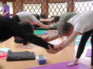 نحوه تاثیر ورزش بر سطح کلسترول خون