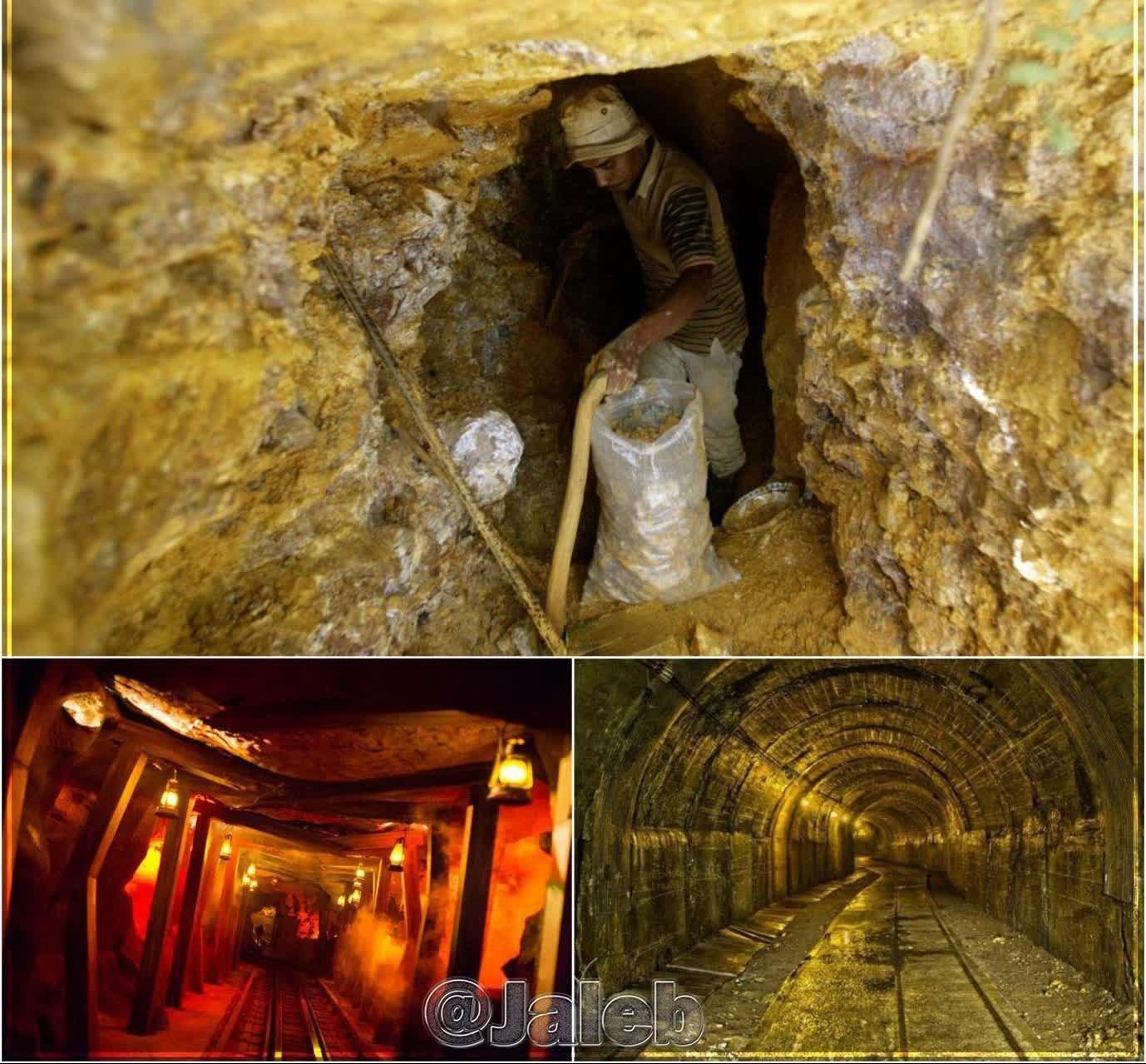 فلز زرد گرانبها