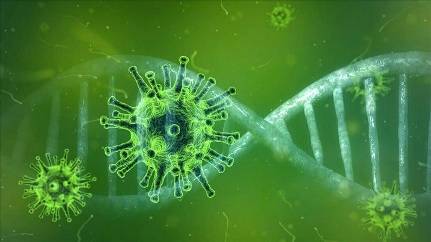 تقویت سیستم ایمنی بدن در روزهای کرونایی