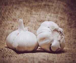 خواص سیر کباب شده