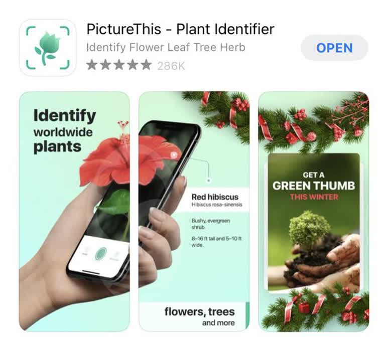 برای عاشقان گل و گیاه