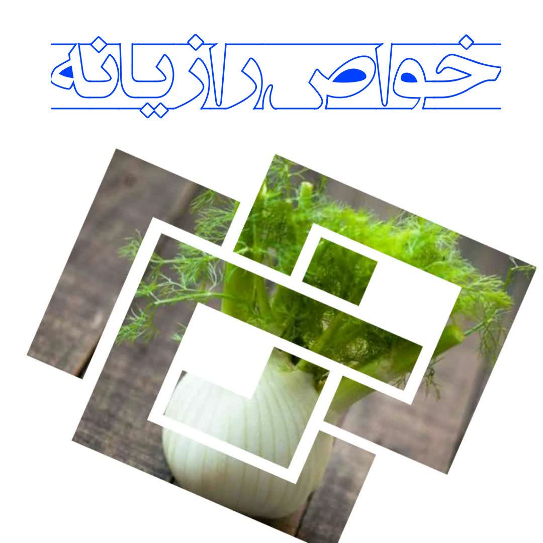 رازیانه