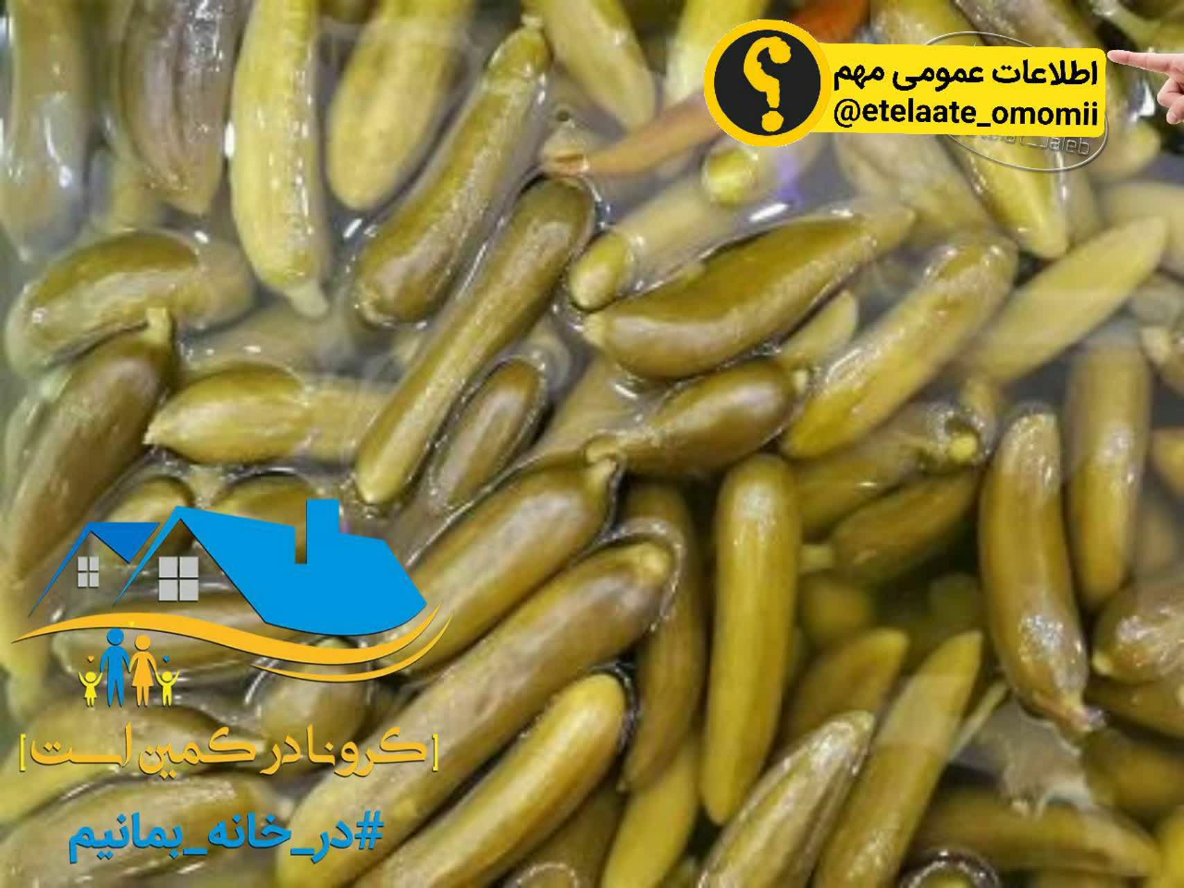 رنگ خیارشور