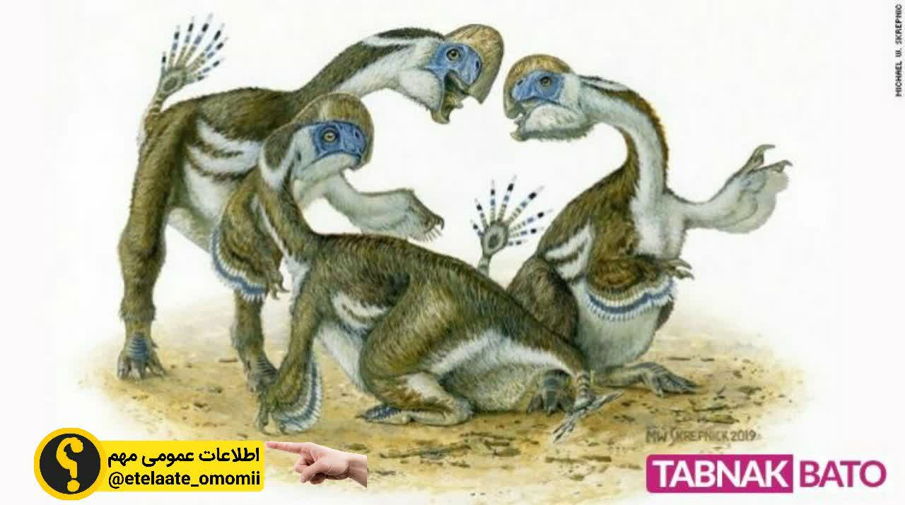 کشف دایناسور‌های طوطی وار