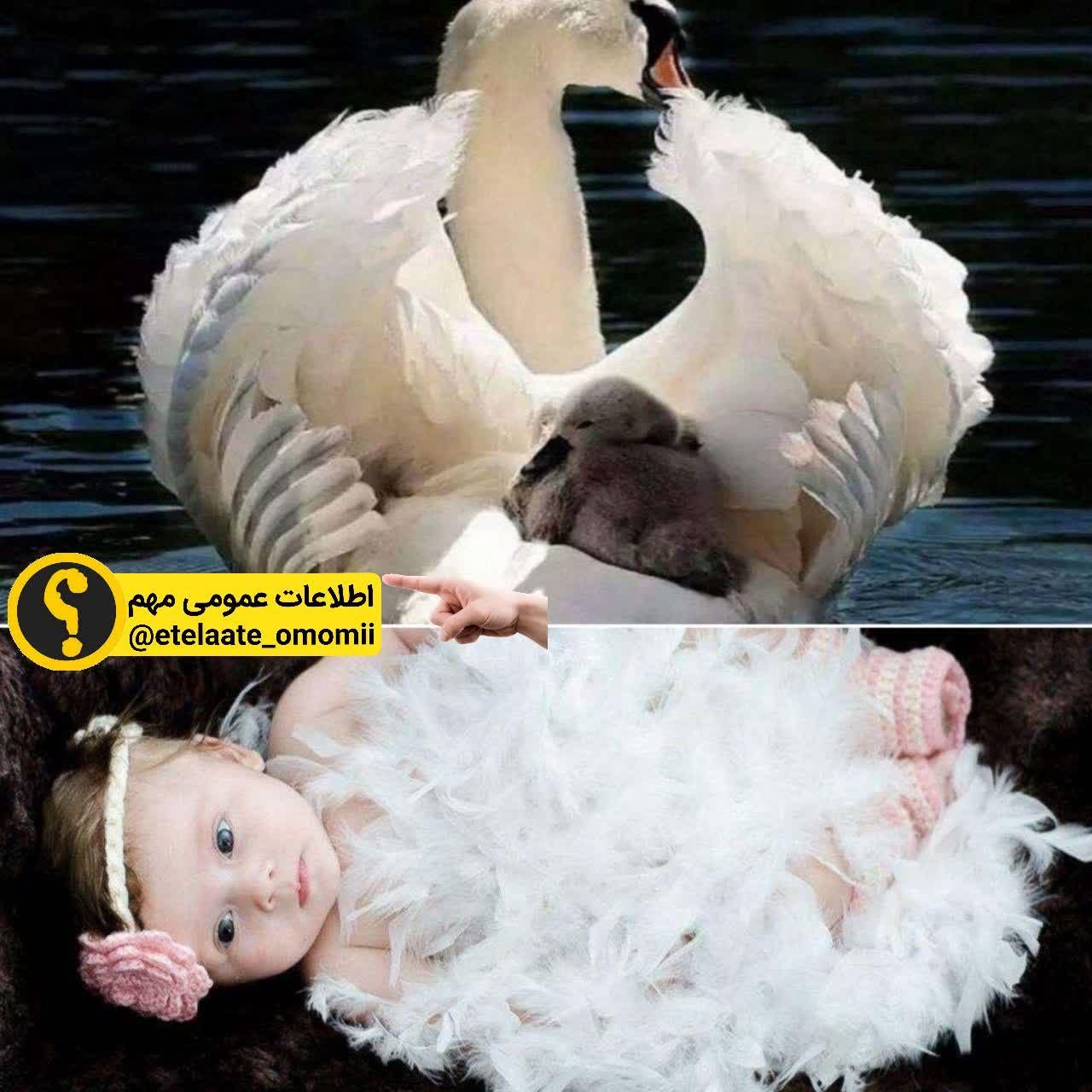 زیباترین مکان خواب کجاست؟