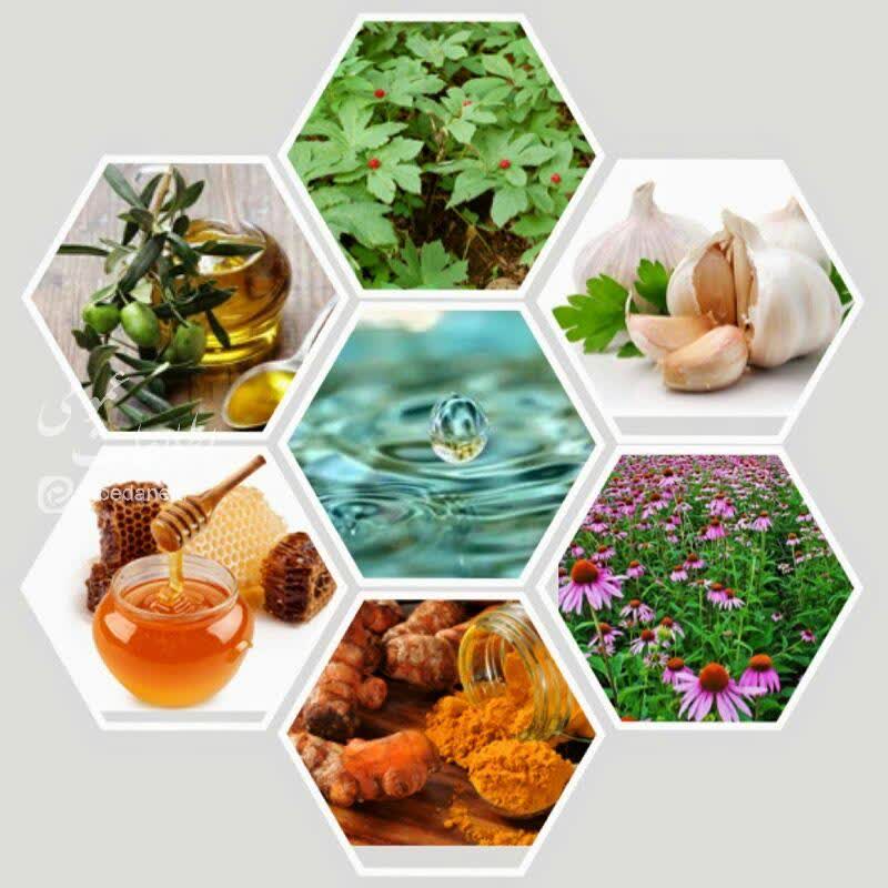 آنتی بیوتیک های طبیعی