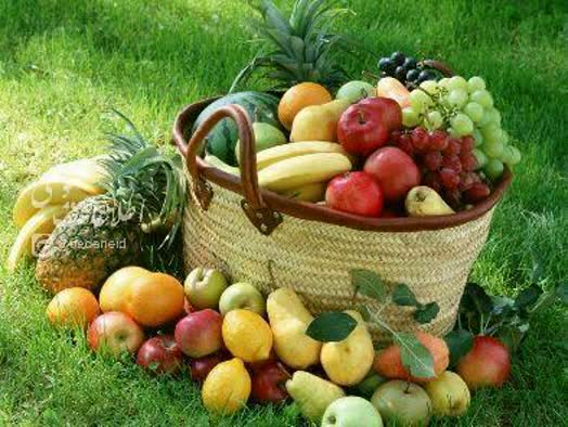 ‌۱۰ ماده برای کاهش وزن