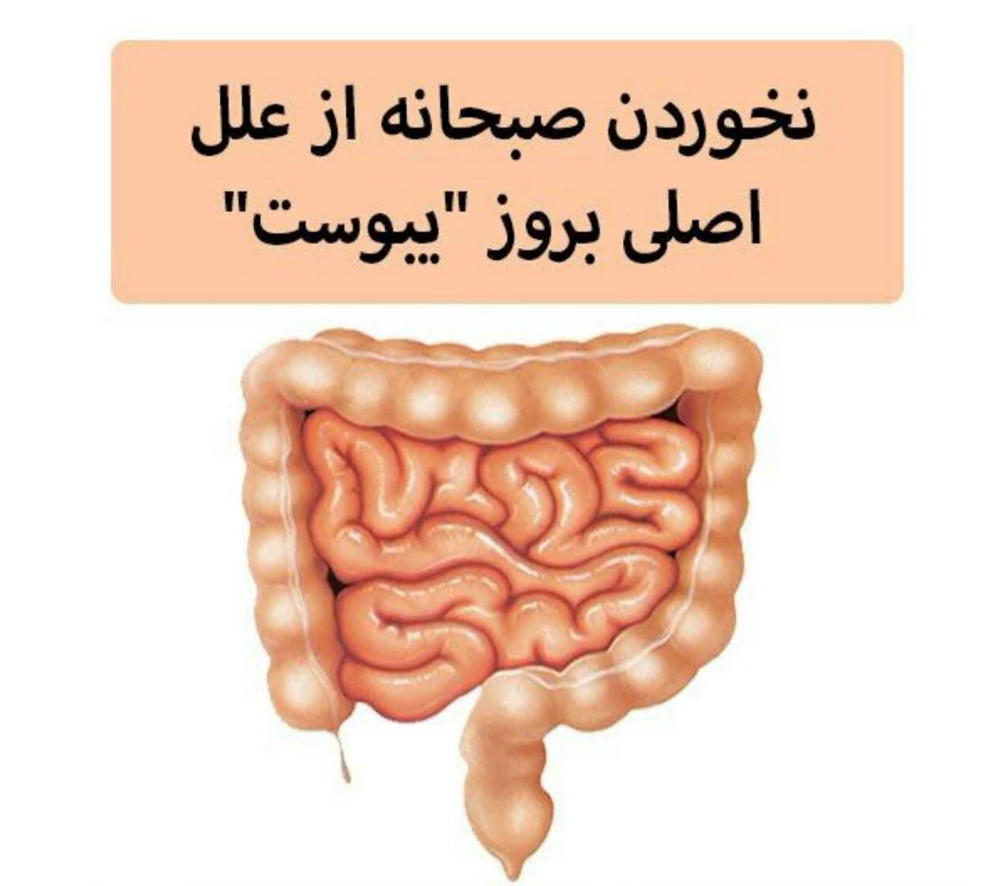 نخوردن صبحانه