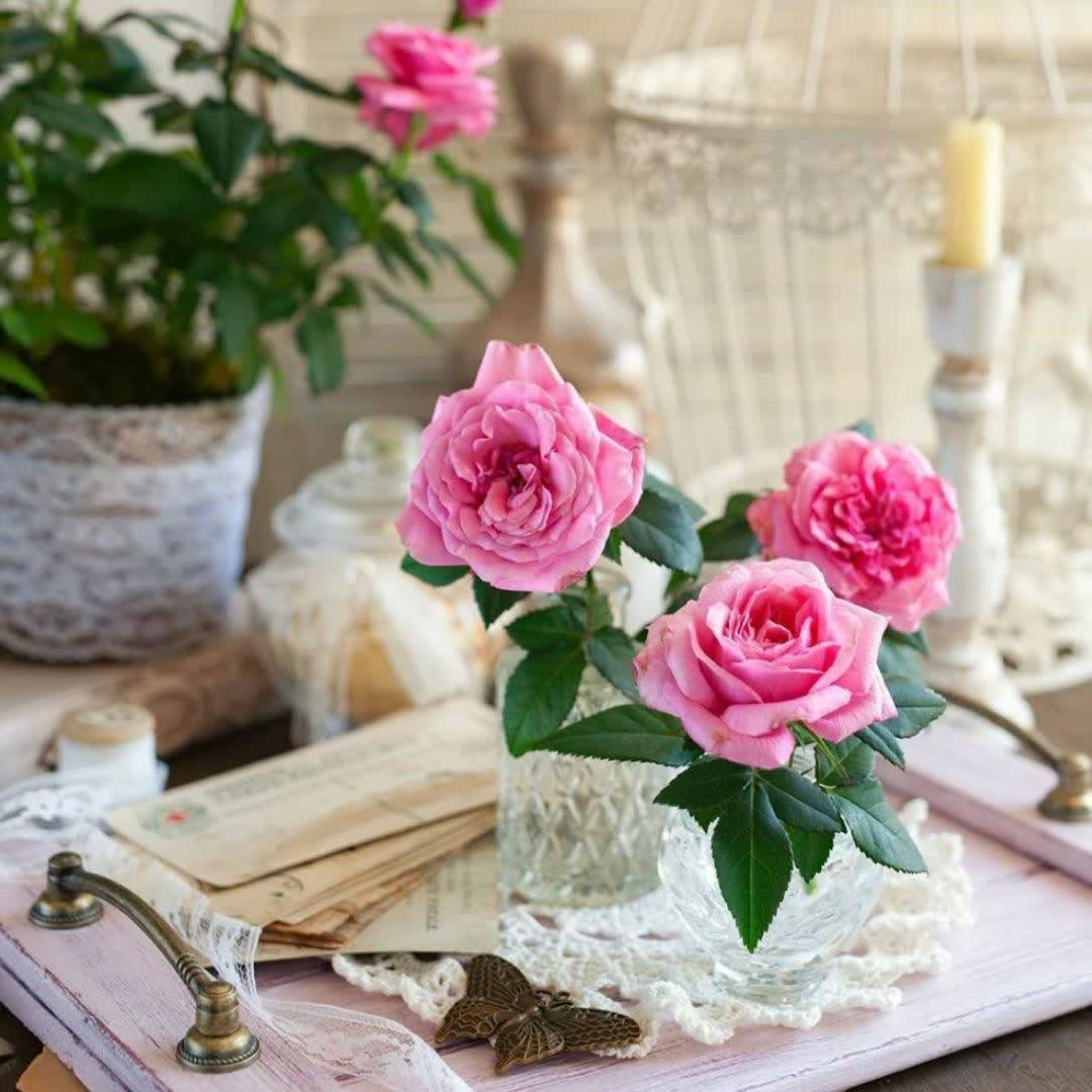 7گناه اجتماعی از ديد گاندی